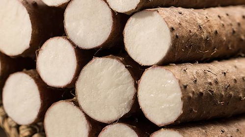 出伏了 但秋天還沒來 這些養生知識你應該知道